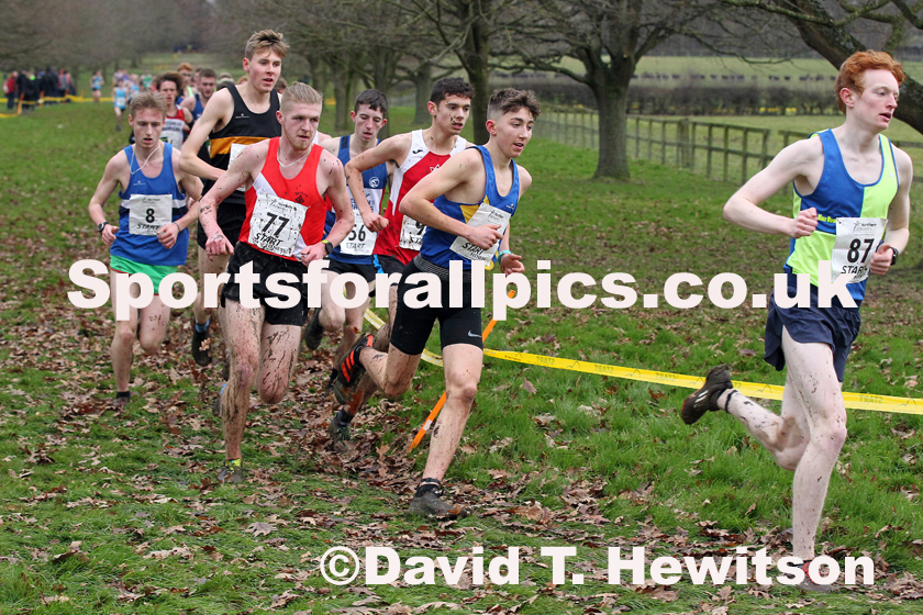 Junior mens Northern Cross Country Champs., Camp Hill Estate, Kirklington.  Photo: David T. Hewitson/Sports for All Pics